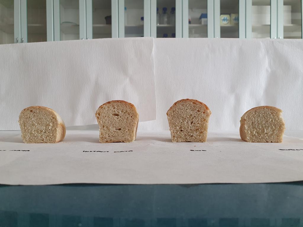 Breads produced using different baker's yeasts